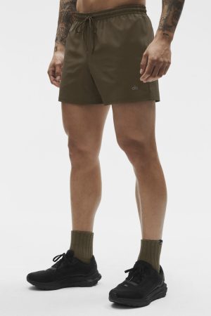 5 Circuit Short - Olive Tree